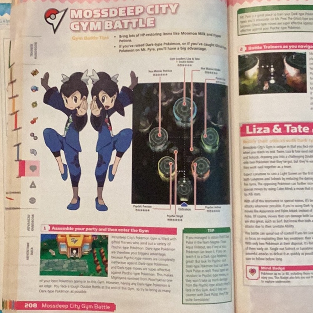 Pokemon Omega Ruby & Pokemon Alpha Sapphire Official Strategy Guide Hoenn Region - Picture 6 of 12